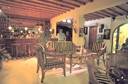Gay friendly Hotel Aegean in Mykonos