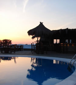 Mykonos gay friendly hotel Carrop Tree
