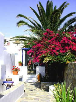 Mykonos Gay Friendly Elena Hotel