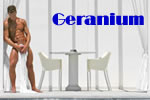Exclusively Gay Geranium Moonlight Hotel in Mykonos