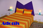 Exclusively gay Adonis Guesthouse in Barcelona