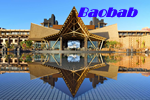 Gran Canaria Gay Friendly Baobab Resort Hotel