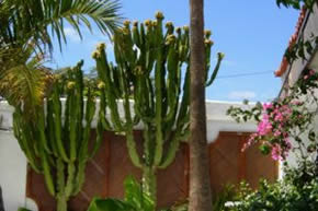 Gran Canaria exclusively gay holiday accommodation Escape Club