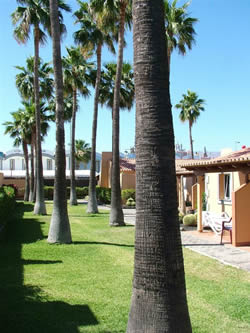 Exclusively Gay holiday complex Los Almendros Gran Canaria