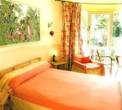 Gran Canaria Exclusively Gay complex Pasion Tropical