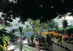 Gay friendly RIU Don Miguel Hotel in Gran Canaria