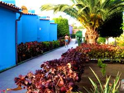 Gran Canaria Gay Men holiday complex Tropical La Zona Bungalows