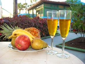 Gran Canaria gay holiday accommodation Tropical La Zona Bungalows