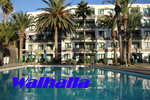Gran Canaria Gay Friendly Walhalla Apartments