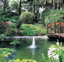 Gay Friendly Tenerife Hotel Botanico