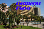 Tenerife Gay Friendly Palmeras Playa Apartments