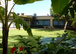 Gay friendly Melia Costa del Sol Hotel in Torremolinos