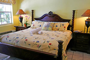 Ft.Lauderdale exclusively gay men's clothing optional Coral Reef Guesthouse Deluxe King Room 101