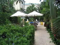 Gay Ft.Lauderdale Hotel Elysium Resort