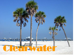 Clearwater Gay Hotels