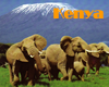 Kenya Gay Hotels