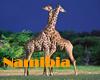 Namibia Gay Hotels