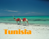 Tunisia Gay Hotels