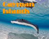 cayman islands Gay