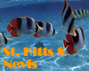 Saint Kitts and Nevis Gay Hotels