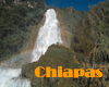 Chiapas, Mexico Gay Hotels