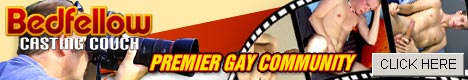 Bedfellow Casting Couch