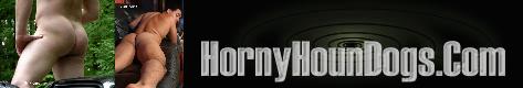 Horny Houn Dogs