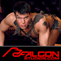 Roman Heart Falcons