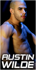 Austin Wilde