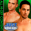 Just Gone Gay