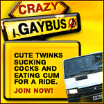 CrazyGayBus
