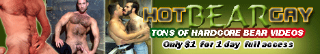 Hot Bear Gay