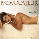 Provocateur: Gigolo 2010 Calendar